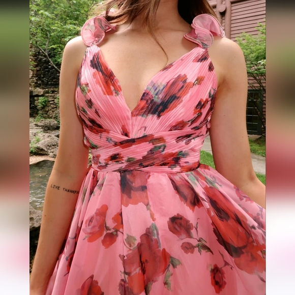 Georgia Organza Maxi Dress - Picture 3 of 6